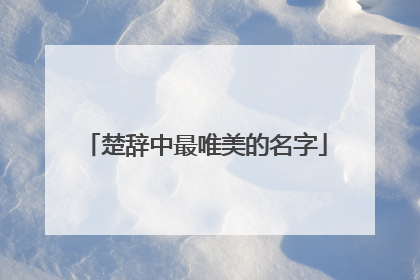 楚辞中最唯美的名字