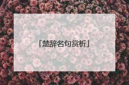 楚辞名句赏析