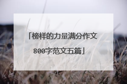 榜样的力量满分作文800字范文五篇