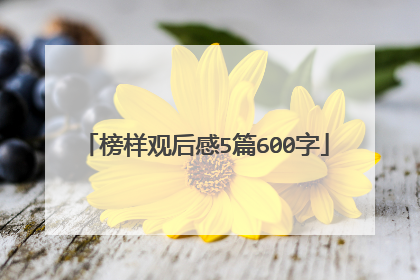 榜样观后感5篇600字