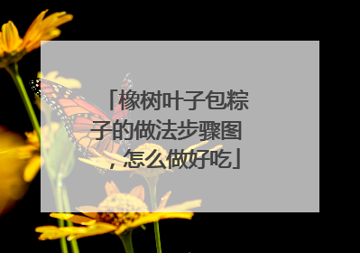 橡树叶子包粽子的做法步骤图，怎么做好吃