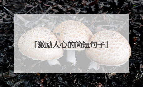 激励人心的简短句子