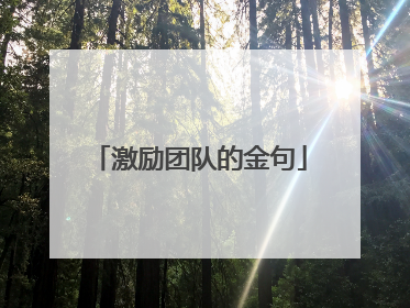 激励团队的金句