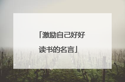 激励自己好好读书的名言