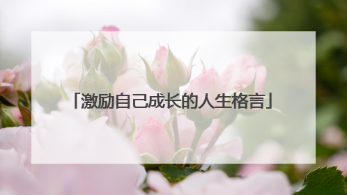 激励自己成长的人生格言