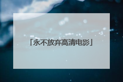 永不放弃高清电影