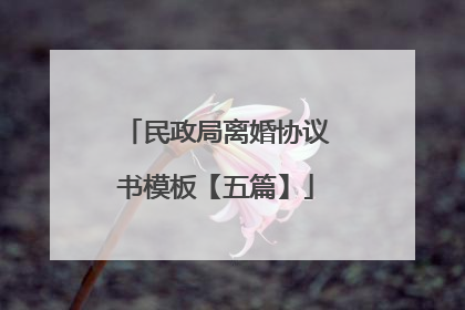 民政局离婚协议书模板【五篇】