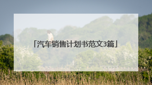 汽车销售计划书范文3篇