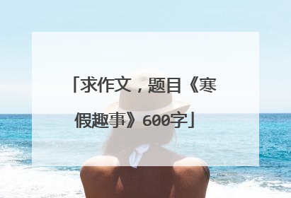求作文，题目《寒假趣事》600字