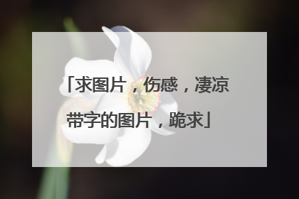 求图片，伤感，凄凉带字的图片，跪求