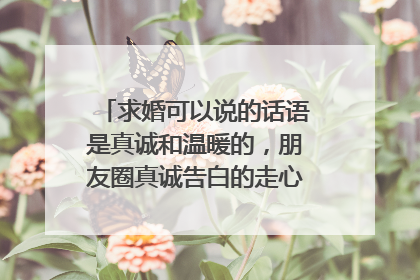 求婚可以说的话语是真诚和温暖的，朋友圈真诚告白的走心文案范文有哪些？