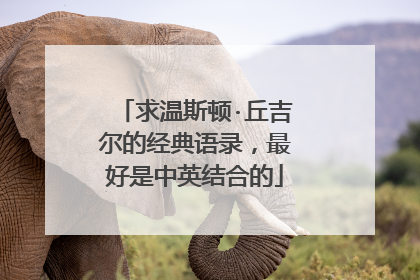 求温斯顿·丘吉尔的经典语录，最好是中英结合的