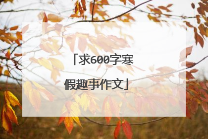 求600字寒假趣事作文