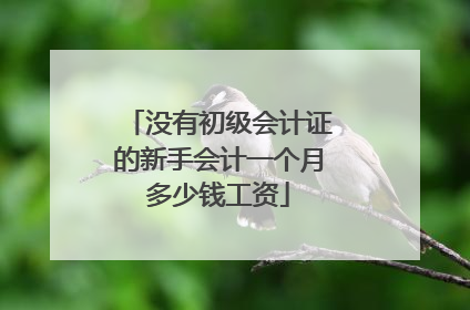 没有初级会计证的新手会计一个月多少钱工资