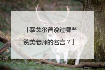 泰戈尔曾说过哪些赞美老师的名言？