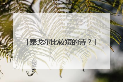 泰戈尔比较短的诗？