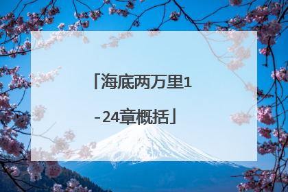 海底两万里1-24章概括