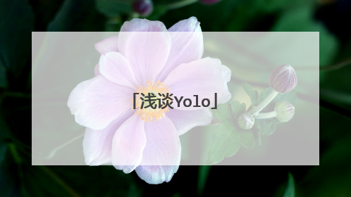 浅谈Yolo