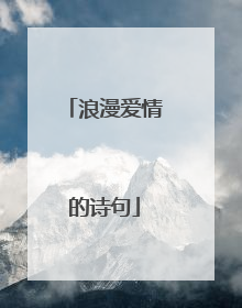 浪漫爱情的诗句