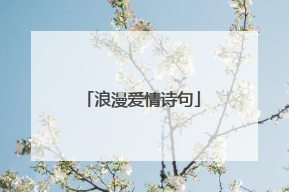 浪漫爱情诗句