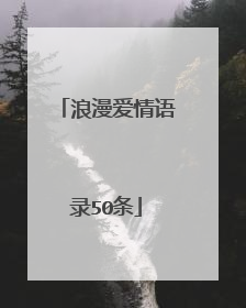 浪漫爱情语录50条