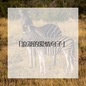 浪漫的爱情句子
