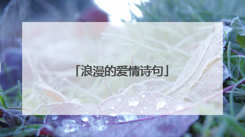 浪漫的爱情诗句