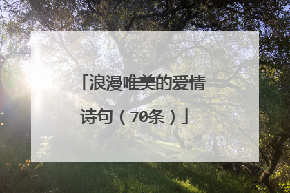 浪漫唯美的爱情诗句（70条）