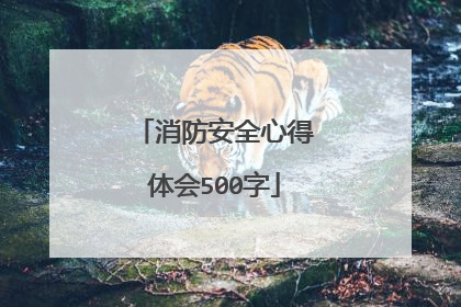 消防安全心得体会500字