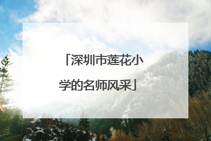 深圳市莲花小学的名师风采