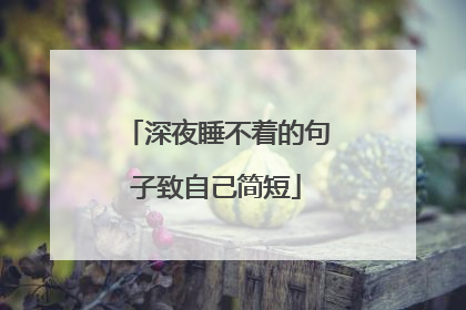 深夜睡不着的句子致自己简短