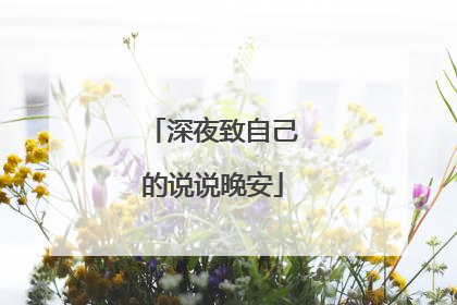 深夜致自己的说说晚安
