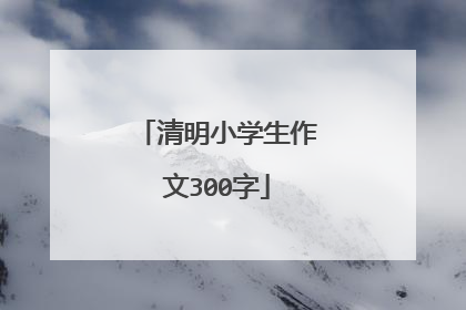 清明小学生作文300字