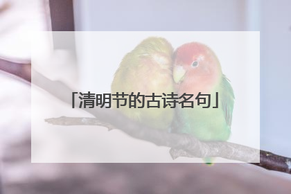 清明节的古诗名句