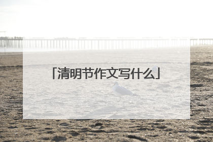 清明节作文写什么