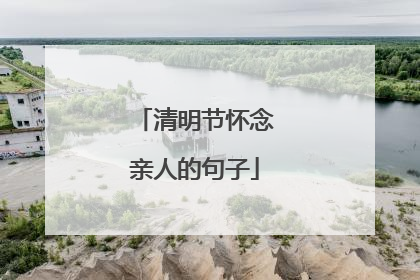 清明节怀念亲人的句子