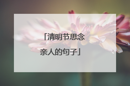 清明节思念亲人的句子