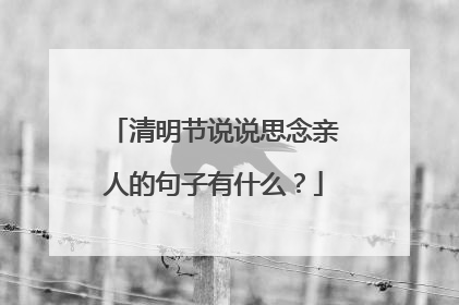 清明节说说思念亲人的句子有什么？