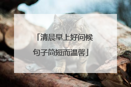 清晨早上好问候句子简短而温馨