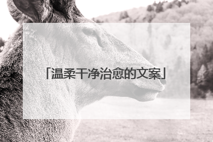 温柔干净治愈的文案