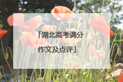 湖北高考满分作文及点评