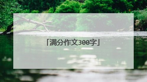 满分作文300字