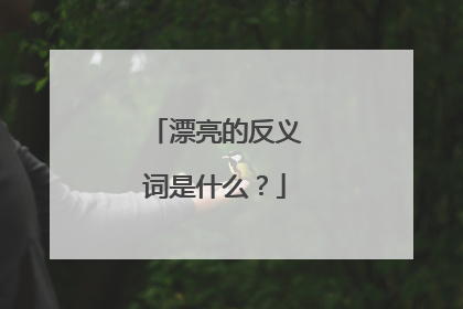 漂亮的反义词是什么？