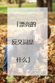 漂亮的反义词是什么