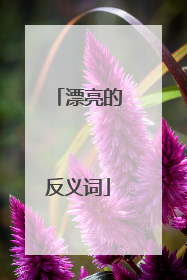 漂亮的反义词