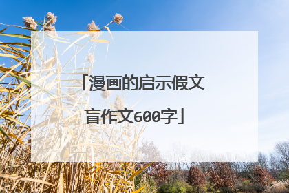 漫画的启示假文盲作文600字