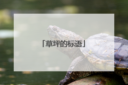 草坪的标语