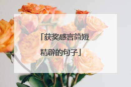 获奖感言简短精辟的句子