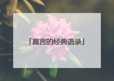 莫言的经典语录