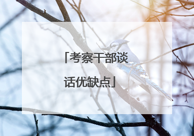 考察干部谈话优缺点